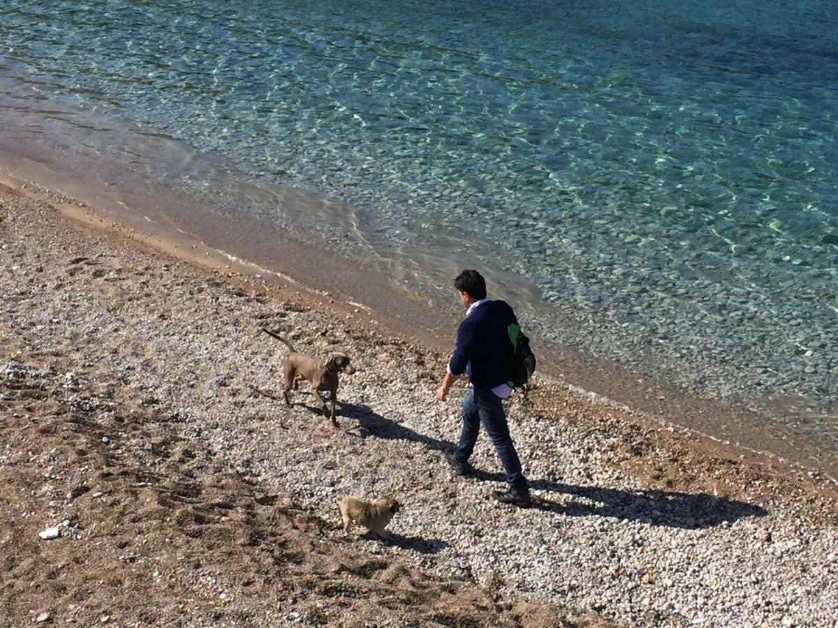 Appartamento Ca Na Jb Puerto de Sóller Esterno foto